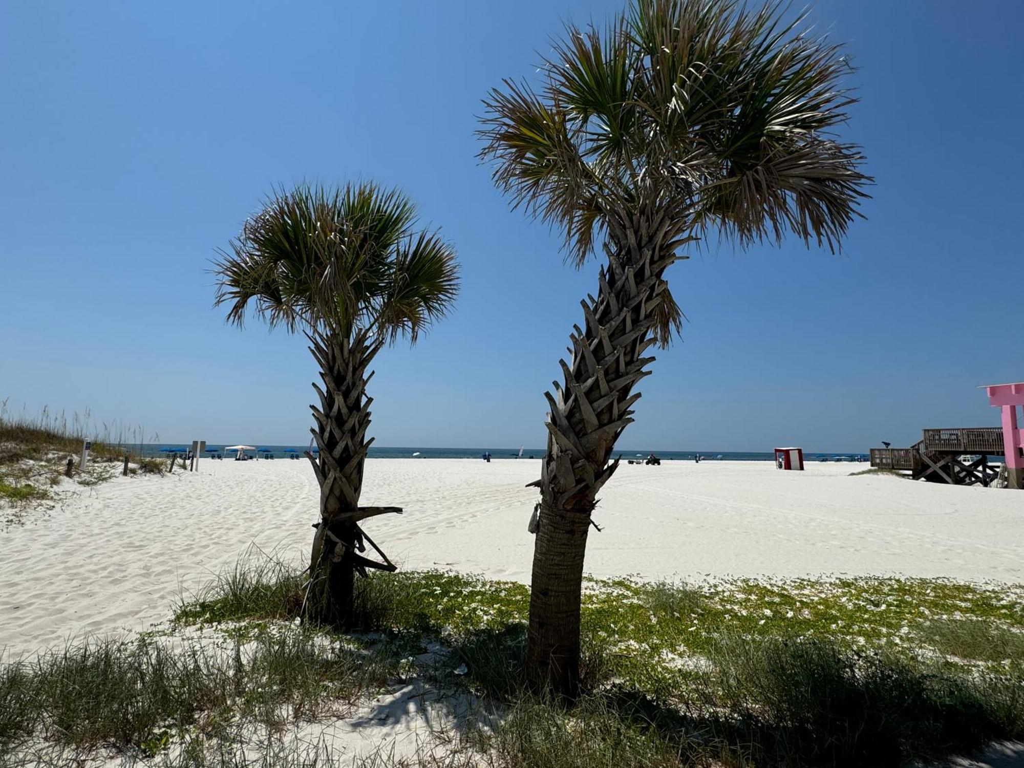 Paradise Prn Gulf Shores Exterior photo